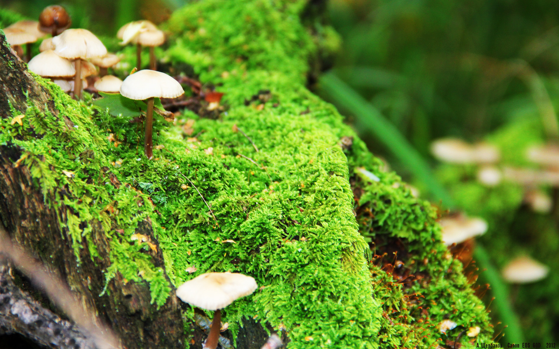 德甲逆转好戏：勒沃库森最后15秒绝杀，积分榜局势动荡，勒沃库森最新转会