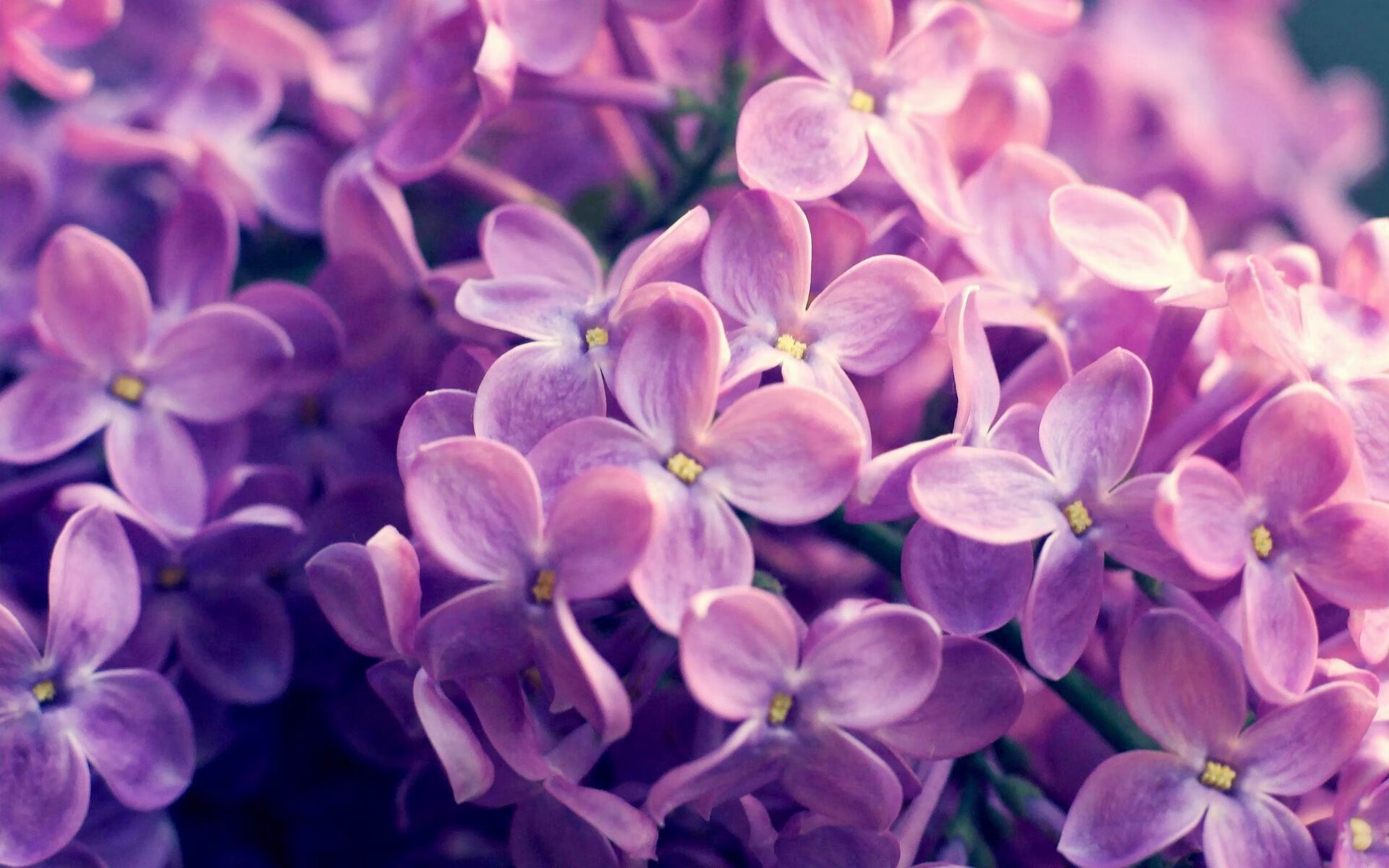 投篮大赏：联盟中最炫酷的远射瞬间，远处投篮技巧
