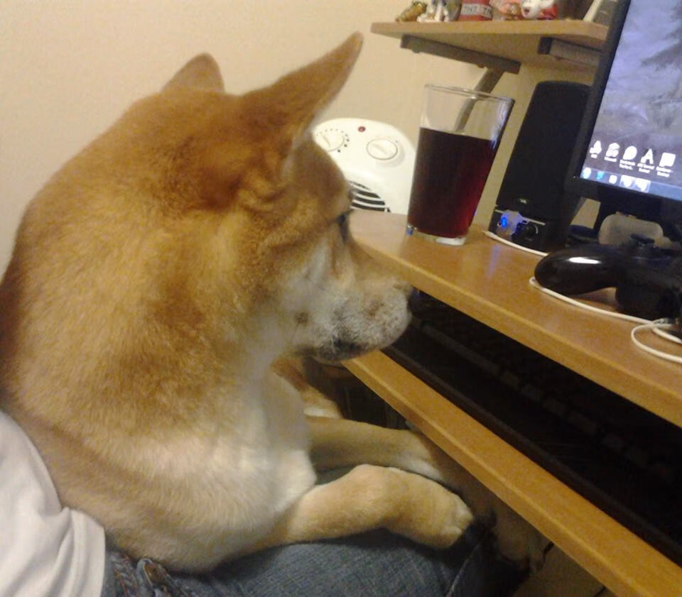 【科技让青训变未来】精准青训体系带给青少年更多成长空间！，青训训练