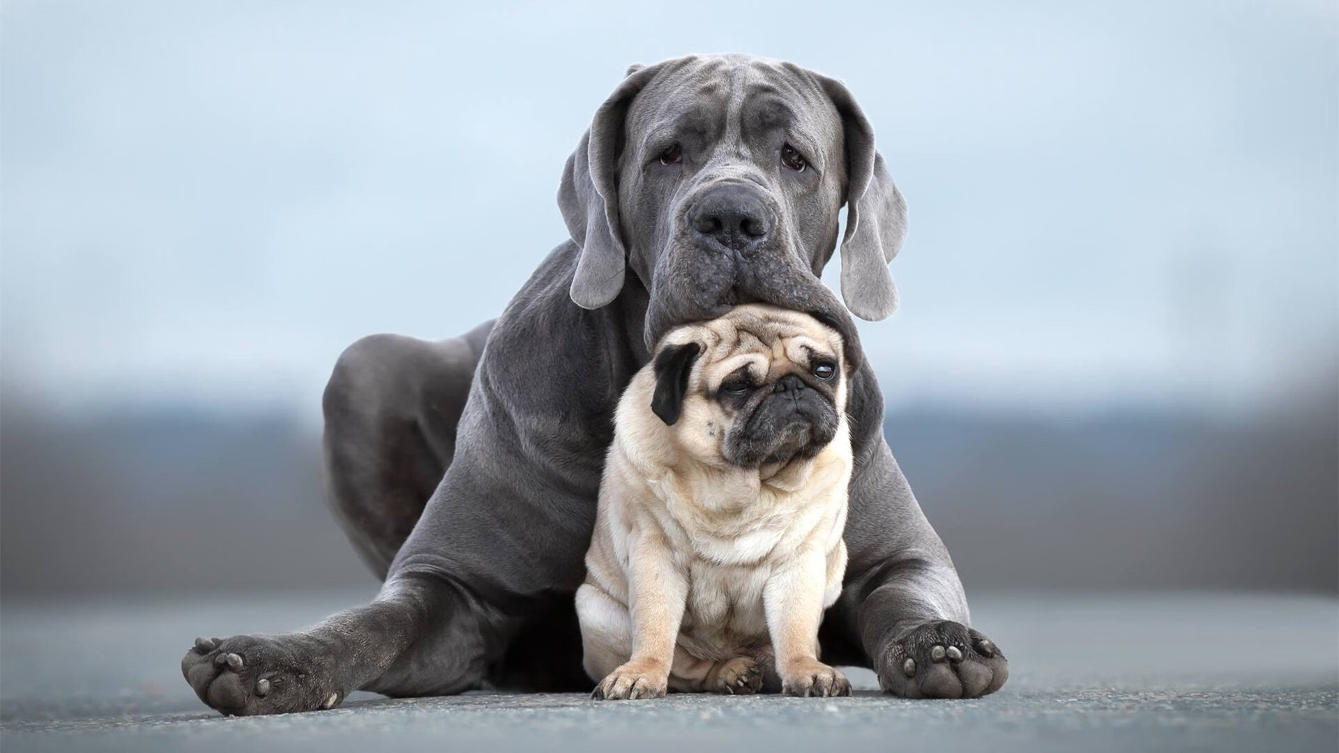 升级的比赛技术,竞技水平显著提升,打升级比赛