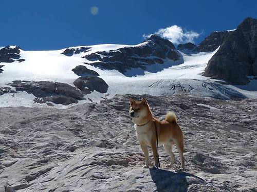 九游app官网下载-库里：用“每一球”讲述篮球的无限可能！，库里用的篮球是什么篮球